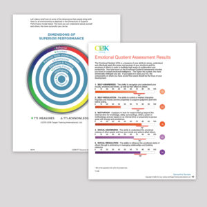 Power of EQ Assessment