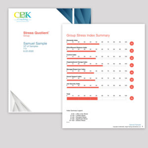CBK Stress Quotient Assessment
